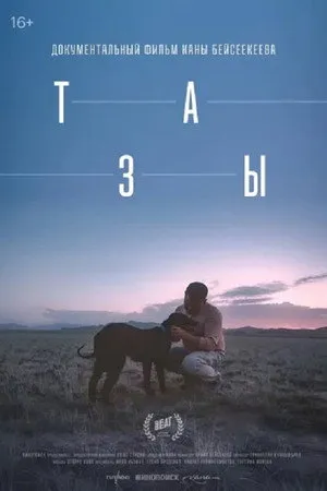 Тазы