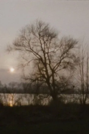 Landscape as Landscape - 27