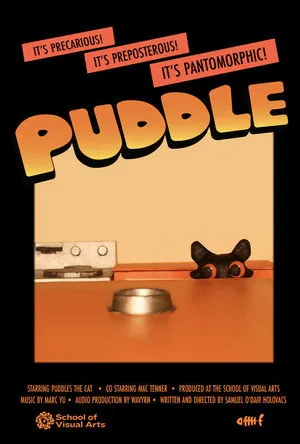 Puddle