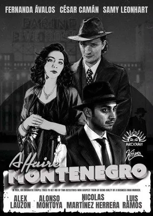 The Montenegro Affair
