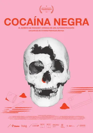 Black Cocaine