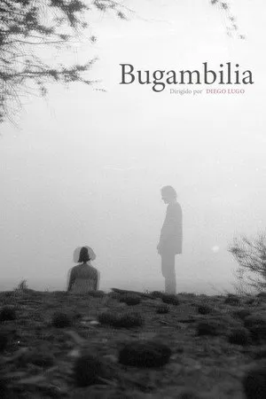 Bugambilia