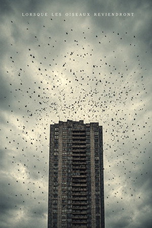 Lorsque Les Oiseaux Reviendront