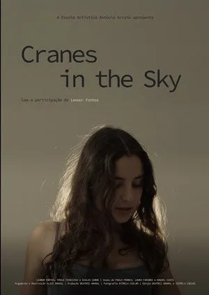 Cranes in the Sky