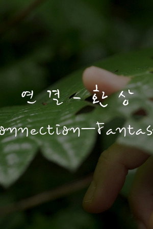 Connection—Fantasy