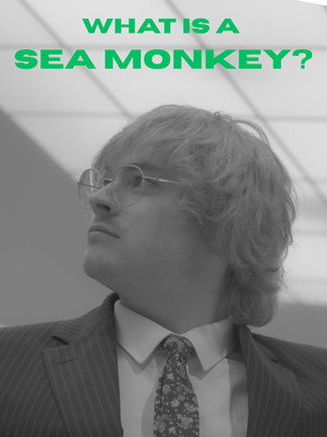 What Is A Sea Monkey?