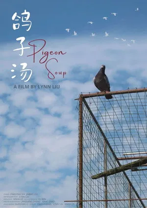 Pigeon Soup