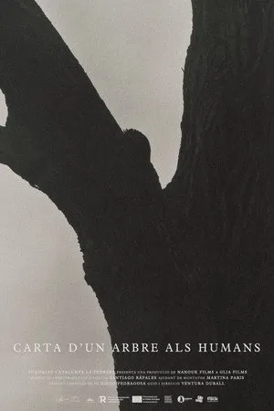 Carta d’un arbre als humans