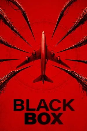 Black Box (Flight 298)